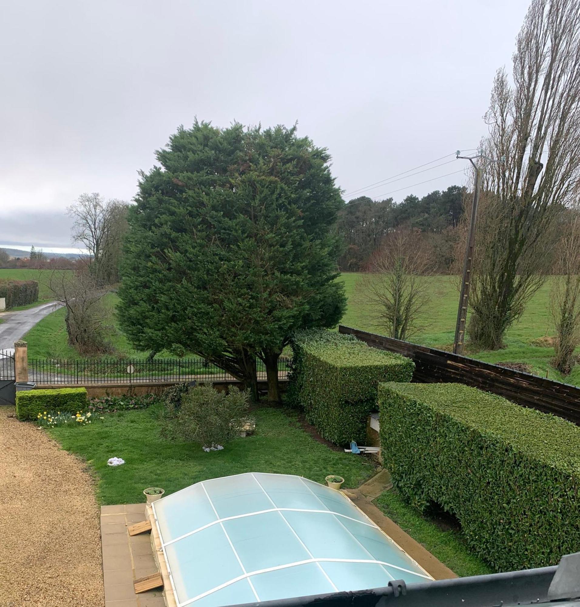 Bed and Breakfast La Costonnerie Leigne-sur-Usseau Exterior foto